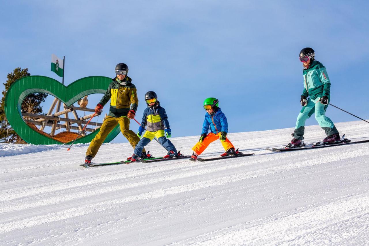 Apartments Haufhof , Haus Im Ennstal Bei Schladming Dış mekan fotoğraf